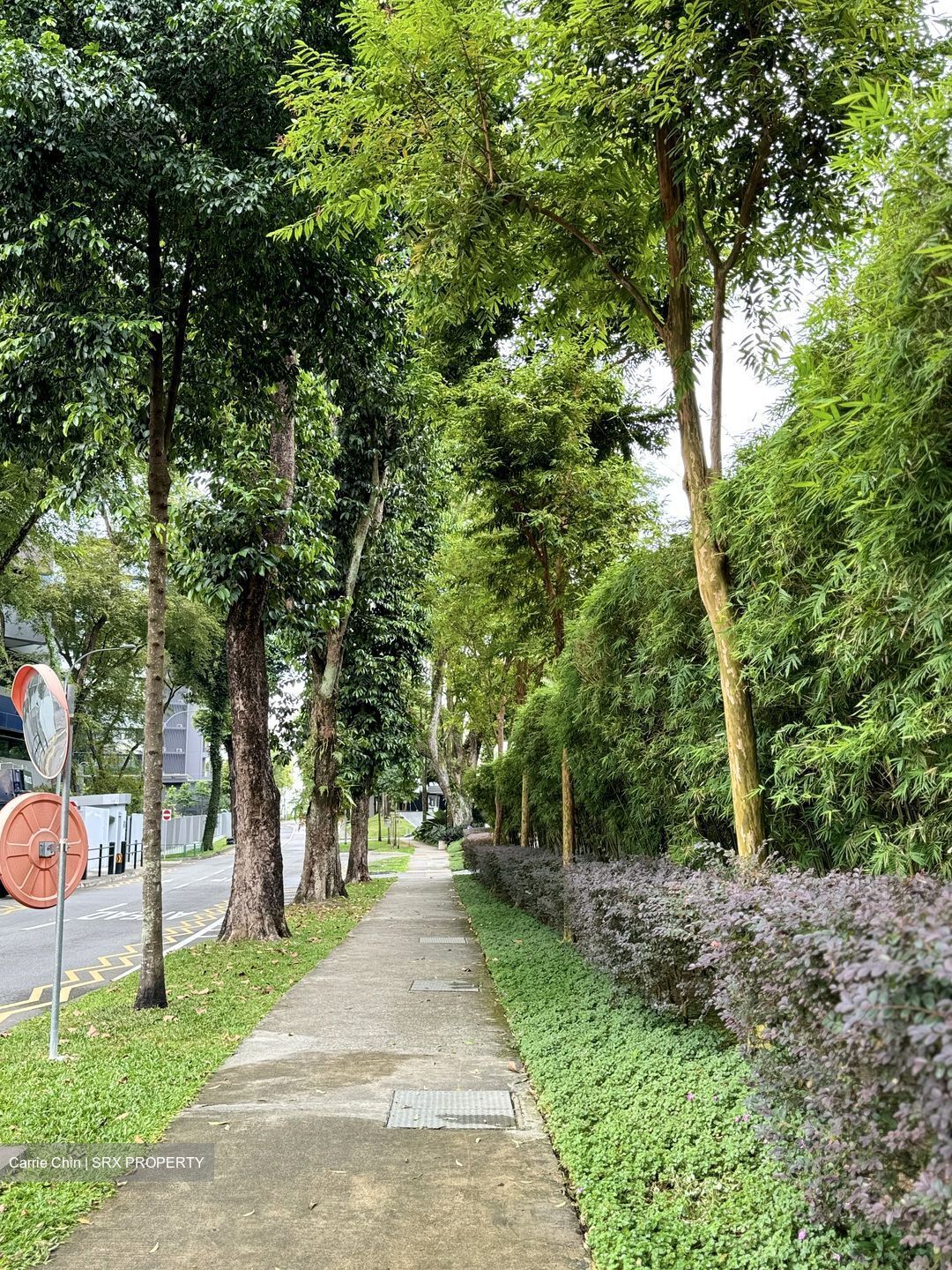 19 Nassim (D10), Apartment #440012811